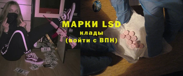 PSILOCYBIN Няндома