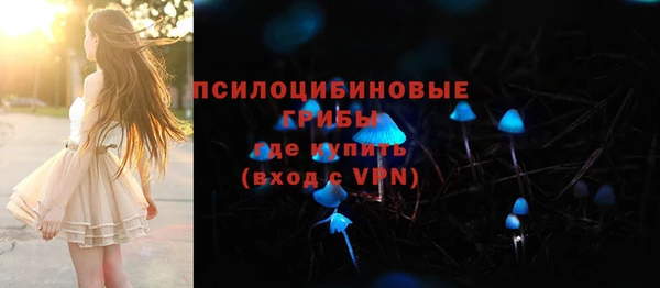 PSILOCYBIN Няндома