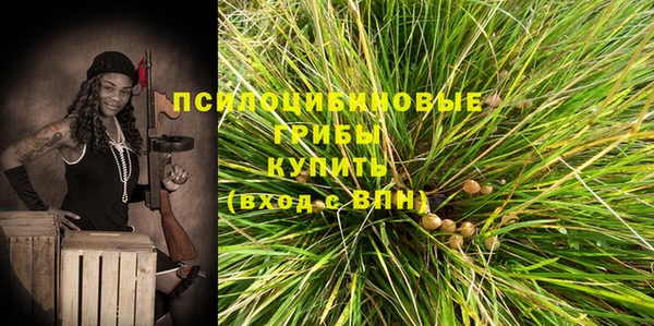 трава Нязепетровск