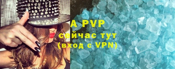 PSILOCYBIN Няндома