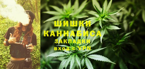 PSILOCYBIN Няндома