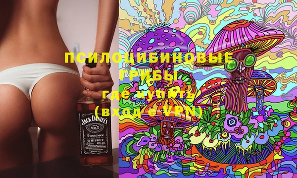 spice Нягань