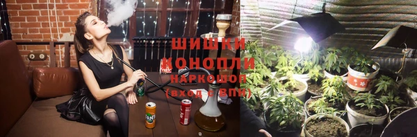 PSILOCYBIN Няндома